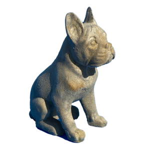 Chien Bouledogue Lucky