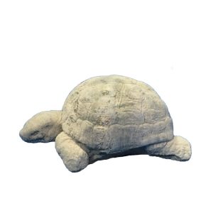 Tortue